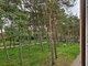 3 rooms apartment for sell Neringa, Neringoje, Taikos g. (5 picture)