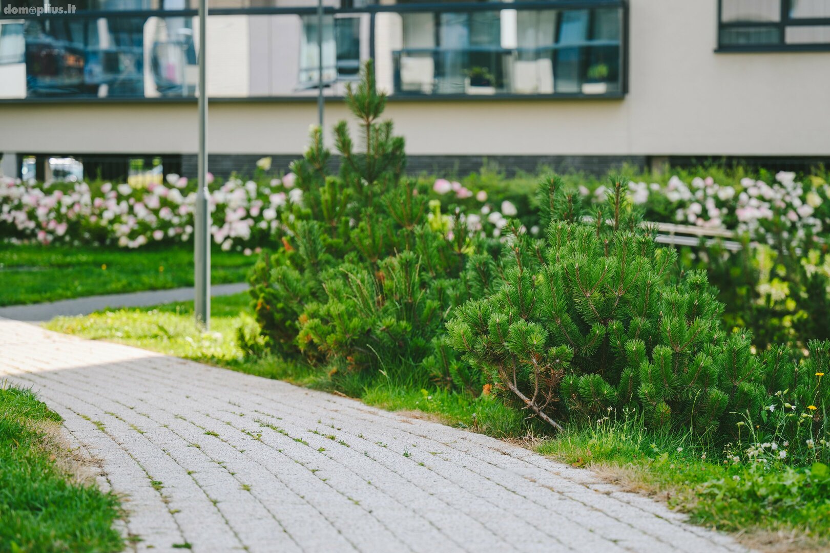 Parduodamas 1 kambario butas Vilniuje, Lazdynėliuose, Lazdynėlių g.