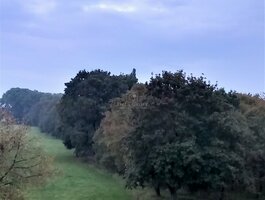 3 kambarių butas Klaipėdoje, Žvejybos uostas, Minijos g.