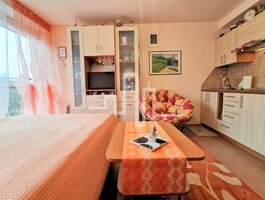 1 room apartment for sell Palangoje, Žemaičių g.
