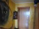 3 rooms apartment for sell Klaipėdoje, Alksnynėje, Alksnynės g. (11 picture)