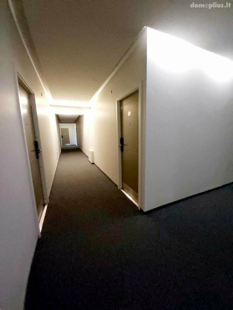 1 room apartment for rent Palangoje, S. Nėries g.