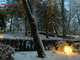 Продается 2 комнатная квартира Palangoje (15 Фотография)