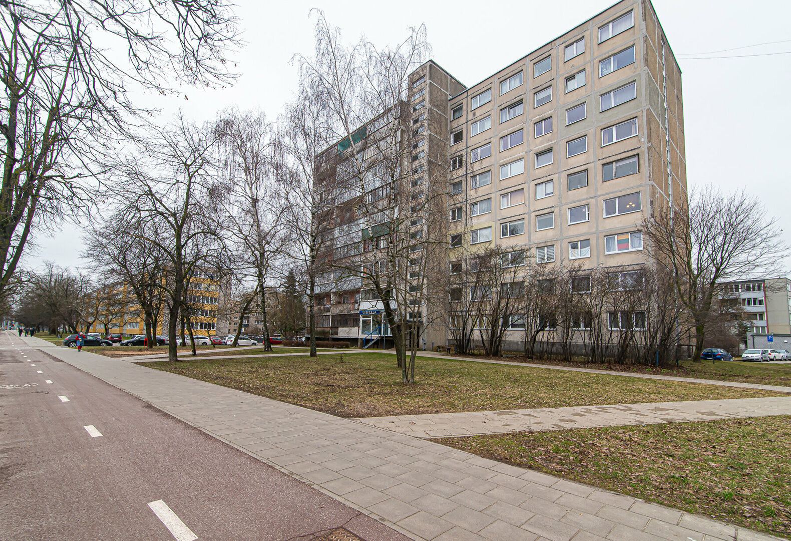 Продается 1 комнатная квартира Vilniuje, Žirmūnuose, Žirmūnų g.