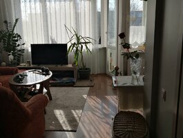 1 room apartment for sell Klaipėdoje, Rumpiškėse, Sausio 15-osios g.