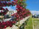 1 room apartment for sell Klaipėdoje, Paupiuose, Ragainės g. (12 picture)