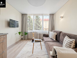 1 room apartment Vilniuje, Šnipiškėse, Studentų g.