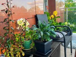 Parduodamas 2 kambarių butas Klaipėdoje, Mažojo kaimelio, Panevėžio g.