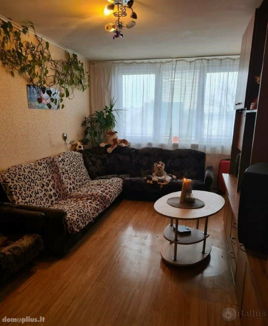 Parduodamas 1 kambario butas Klaipėdoje, Alksnynėje, Rambyno g.