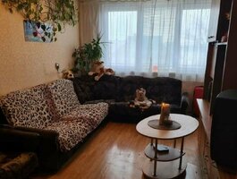 Parduodamas 1 kambario butas Klaipėdoje, Alksnynėje, Rambyno g.
