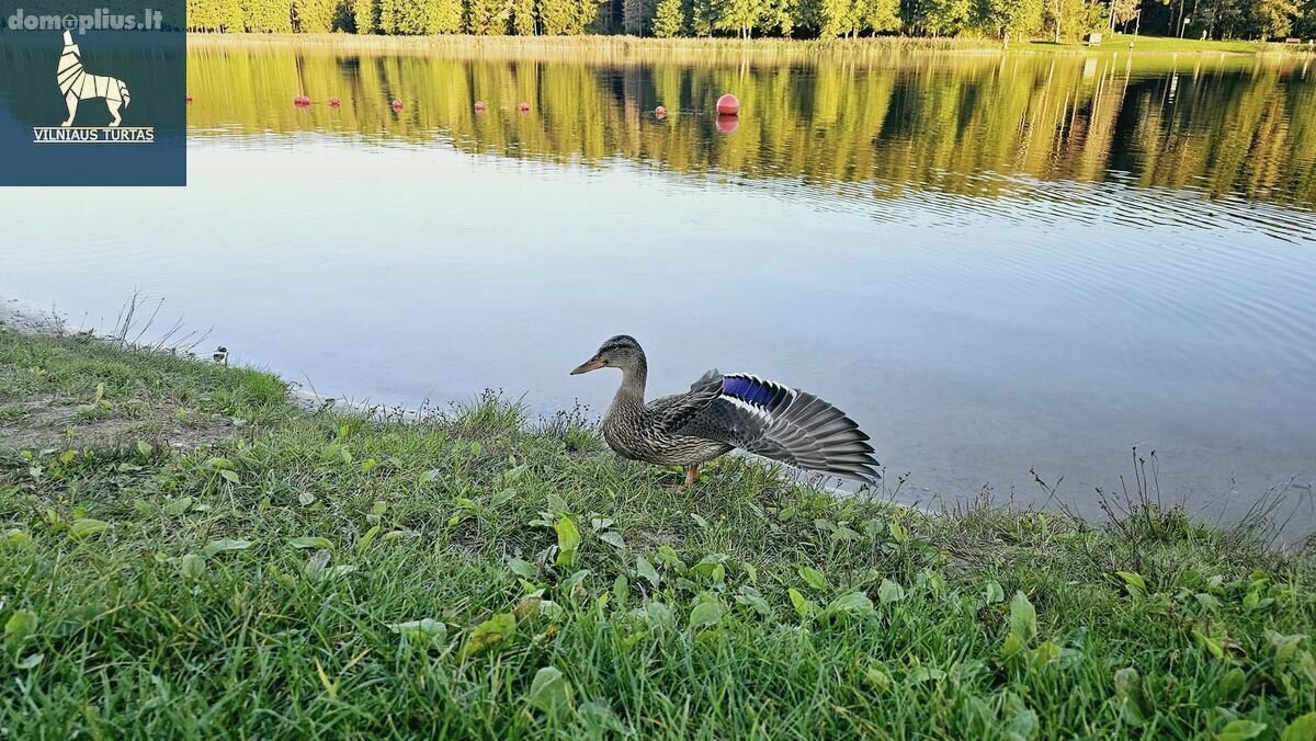 Parduodamas 4 kambarių butas Molėtų rajono sav., Girsteitiškyje