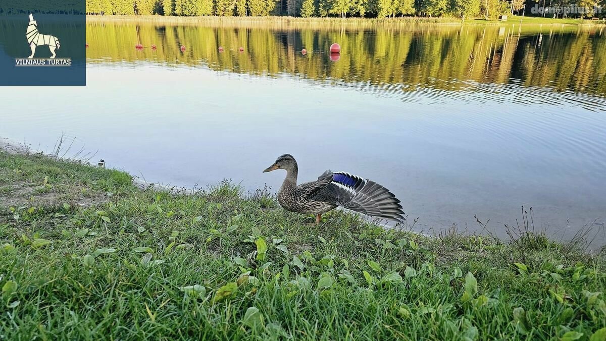 Parduodamas 4 kambarių butas Molėtų rajono sav., Girsteitiškyje