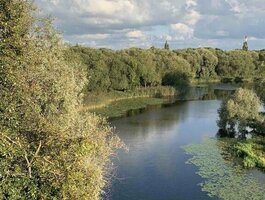 2 kambarių butas Klaipėdoje, Centre, Mokyklos g.