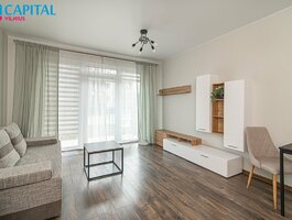 1 kambario butas Vilniuje, Lazdynėliuose