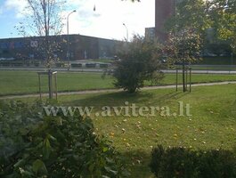 Parduodamas 1 kambario butas Klaipėdoje, Naujakiemyje, Šiaulių g.