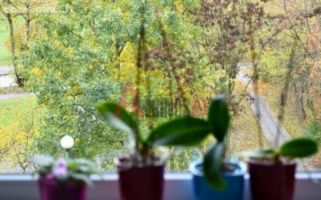Parduodamas 3 kambarių butas Klaipėdoje, Bandužiuose, Markučių g.