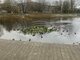 Parduodamas 1 kambario butas Klaipėdoje, Kauno, Kauno g. (9 nuotrauka)