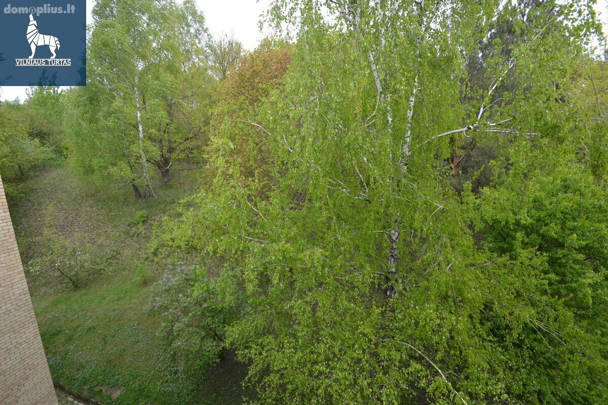 Продается 2 комнатная квартира Vilniuje, Naujininkuose, Liepkalnio g.