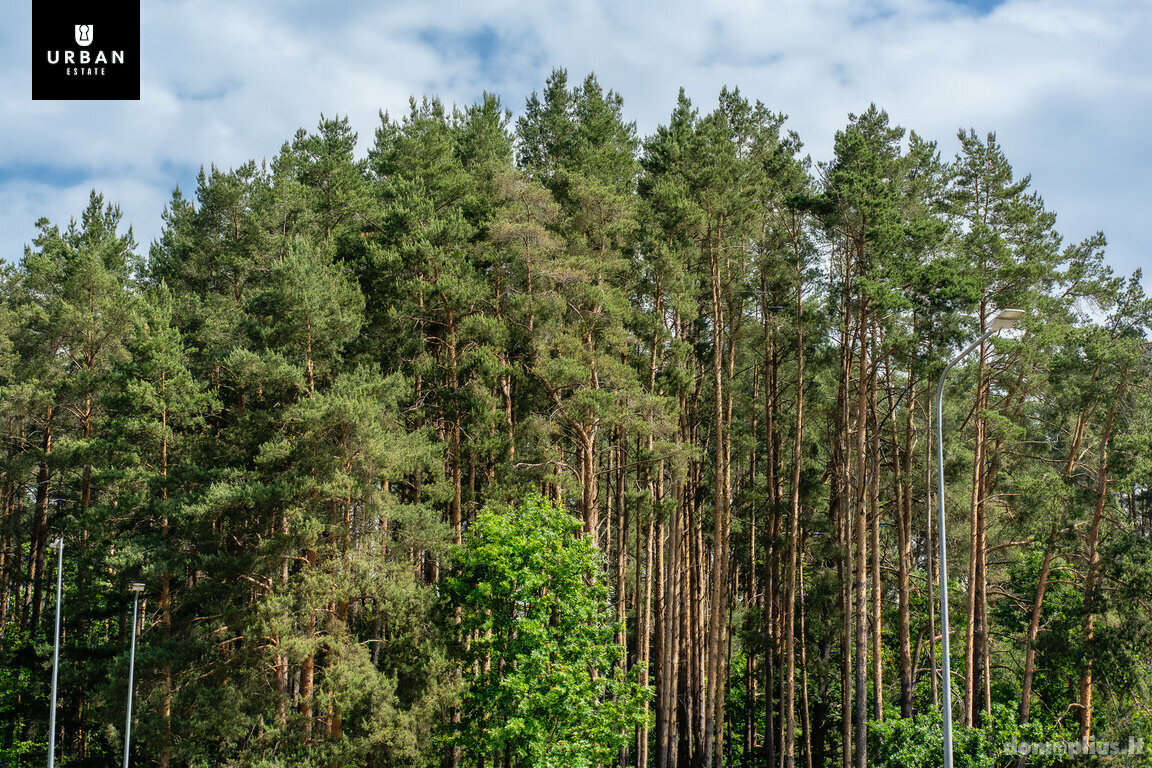 Parduodamas 3 kambarių butas Vilniuje, Lazdynėliuose, Jonažolių g.