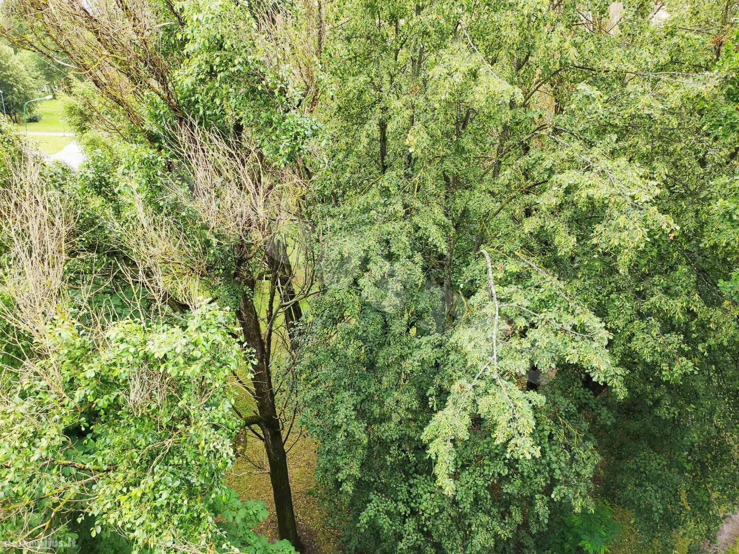 Parduodamas 2 kambarių butas Klaipėdoje, Debrecene, Debreceno g.