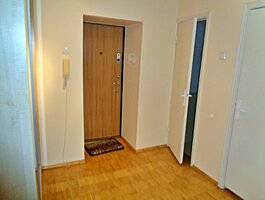 2 kambarių buto nuoma Kaune, Dainavoje, A. Baranausko g.