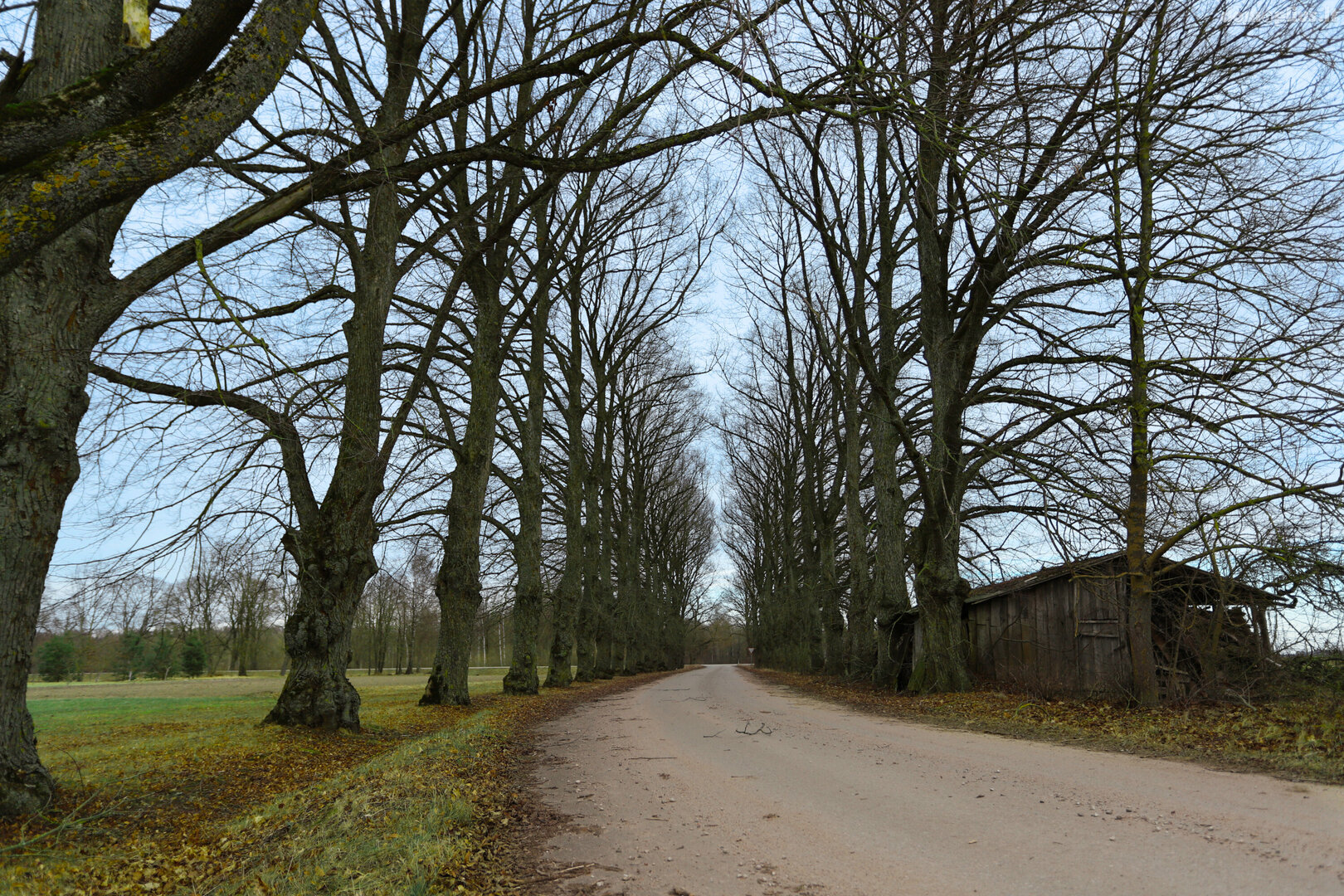 Продается 4 комнатная квартира Panevėžio rajono sav., Burveliuose, Burvelių g.