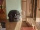 2 rooms apartment for sell Klaipėdoje, Vingio, I. Simonaitytės g. (2 picture)