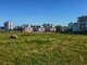 Продается 3 комнатная квартира Kaune, Šilainiuose (10 Фотография)