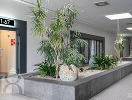 2 rooms apartment for sell Klaipėdoje, Vėtrungėje, Kuosų g.