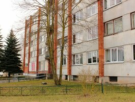 1 kambario butas Panevėžio rajono sav., Liūdynėje, Ramioji g.
