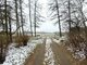 Продается 2 комнатная квартира Trakų rajono sav., Lentvaryje, Klevų al. (3 Фотография)