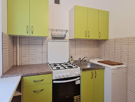 Продается 1 комнатная квартира Vilniuje, Karoliniškėse, Virginijaus Druskio g.