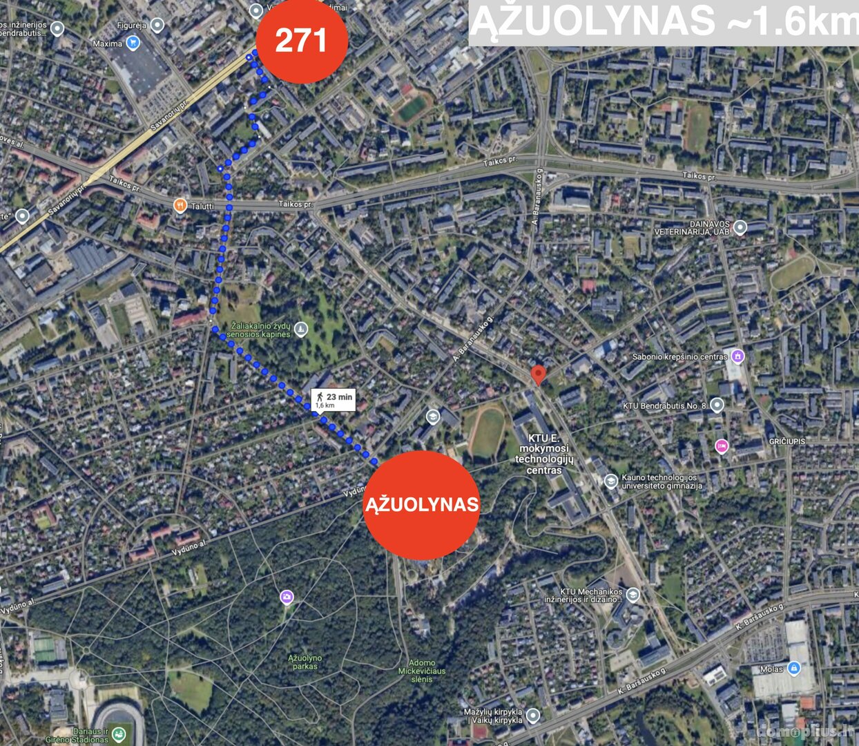 Parduodamas 12 kambarių butas Kaune, Žaliakalnyje, Savanorių pr.