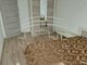 2 rooms apartment for sell Klaipėdoje, Gedminuose, Taikos pr. (3 picture)