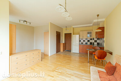 Продается 1 комнатная квартира Vilniuje, Žvėryne, Stumbrų g.