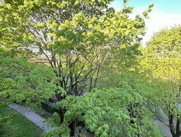 Продается 3 комнатная квартира Vilniuje, Žirmūnuose, Žirmūnų g.