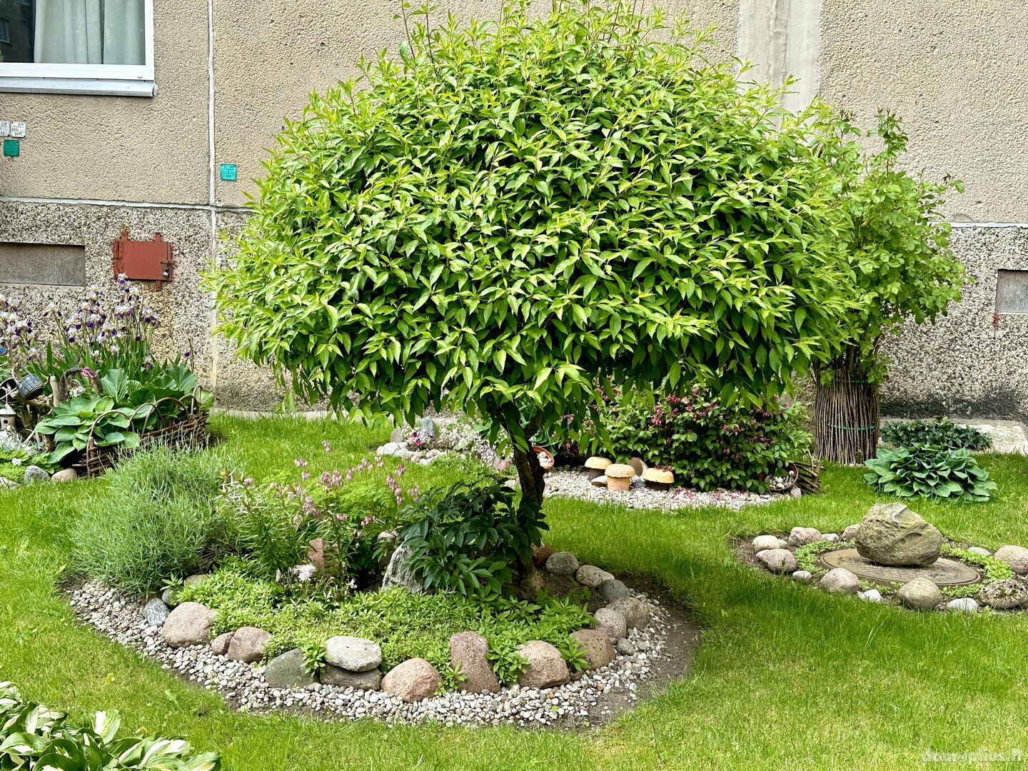 Parduodamas 2 kambarių butas Klaipėdoje, Žvejybos uostas, Kalnupės g.