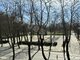 3 rooms apartment for sell Klaipėdoje, Centre, S. Daukanto g. (1 picture)