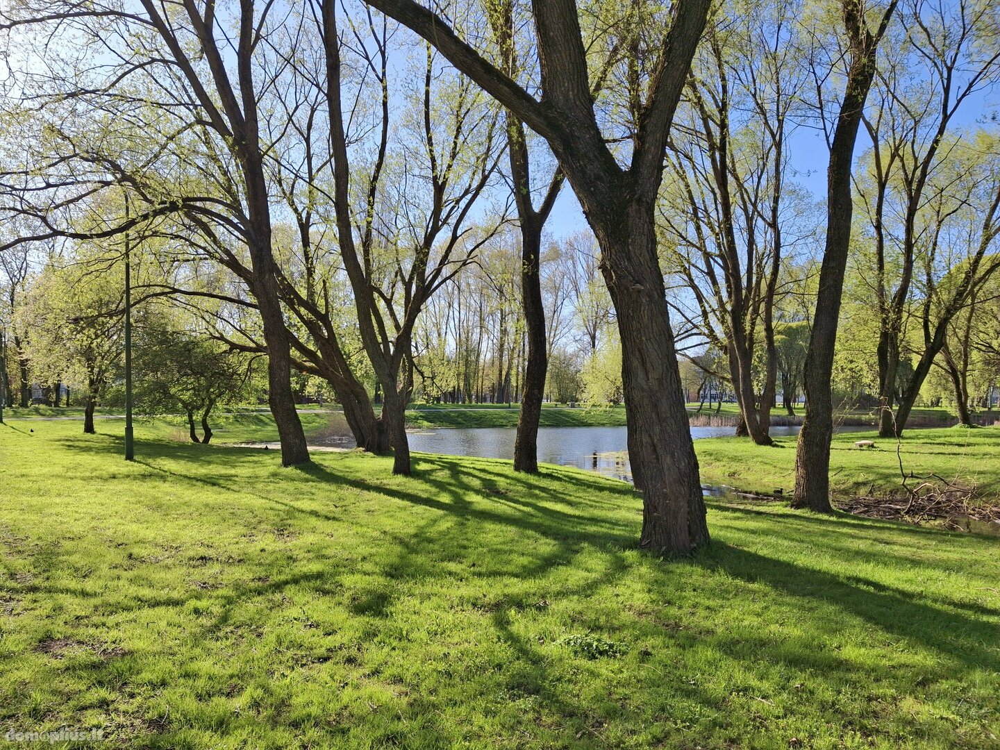 Parduodamas 3 kambarių butas Klaipėdoje, Naujakiemyje, Šiaulių g.