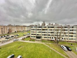 Parduodamas 1 kambario butas Alytuje, Dainavoje, Naujoji g.