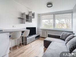 1 room apartment for sell Vilniuje, Antakalnyje, Olandų g.