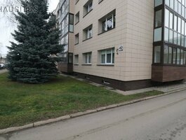 1 kambario buto nuoma Panevėžyje, Centre, Nevėžio g.