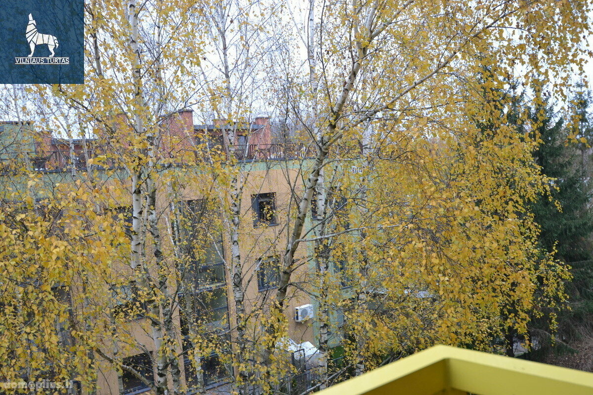 Продается 1 комнатная квартира Vilnius, Vilniuje, Eišiškių pl.
