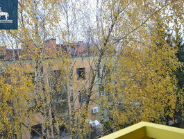 Продается 1 комнатная квартира Vilnius, Vilniuje, Eišiškių pl.