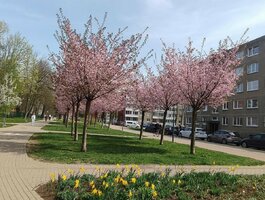 Parduodamas 2 kambarių butas Klaipėdoje, Debrecene, Debreceno g.