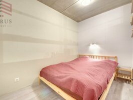 1 kambario buto nuoma Vilniuje, Šnipiškėse, Žalgirio g.