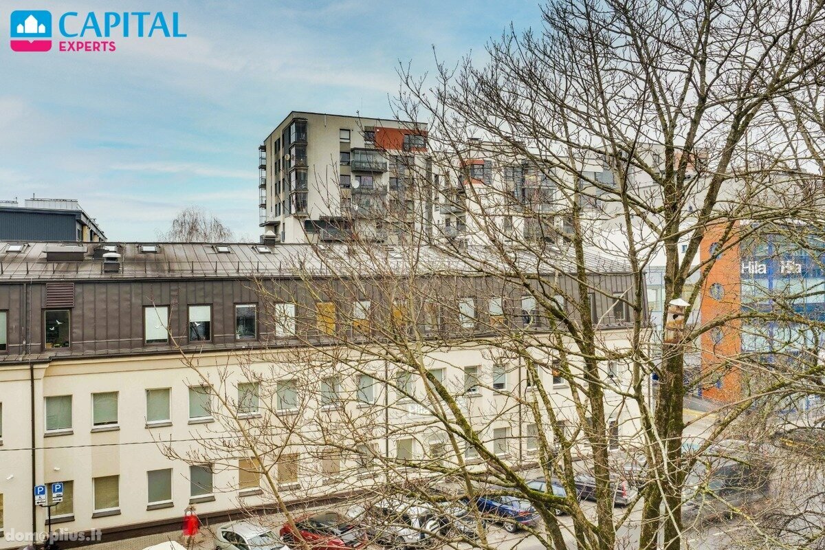 1 room apartment for sell Vilniuje, Antakalnyje, V. Grybo g.