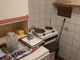 1 room apartment for rent Vilniuje, Naujamiestyje, Geležinio Vilko g.