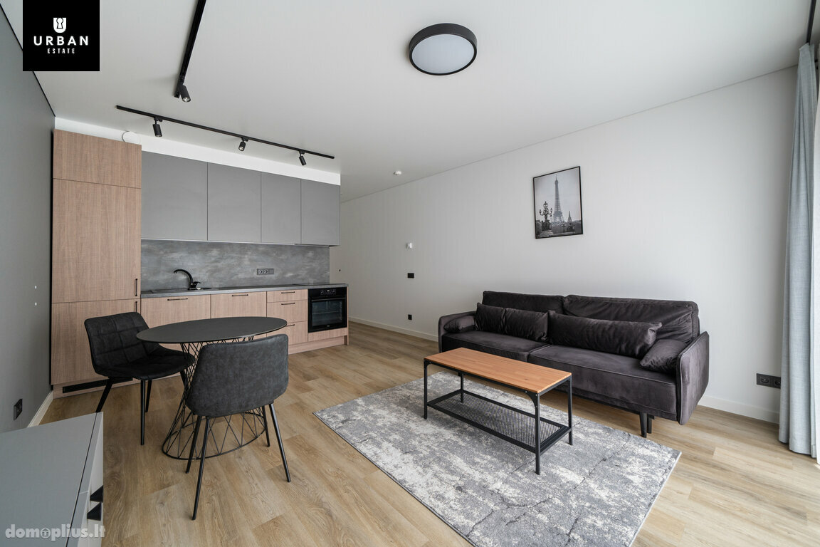 1 room apartment for rent Vilniuje, Baltupiuose, Didlaukio g.