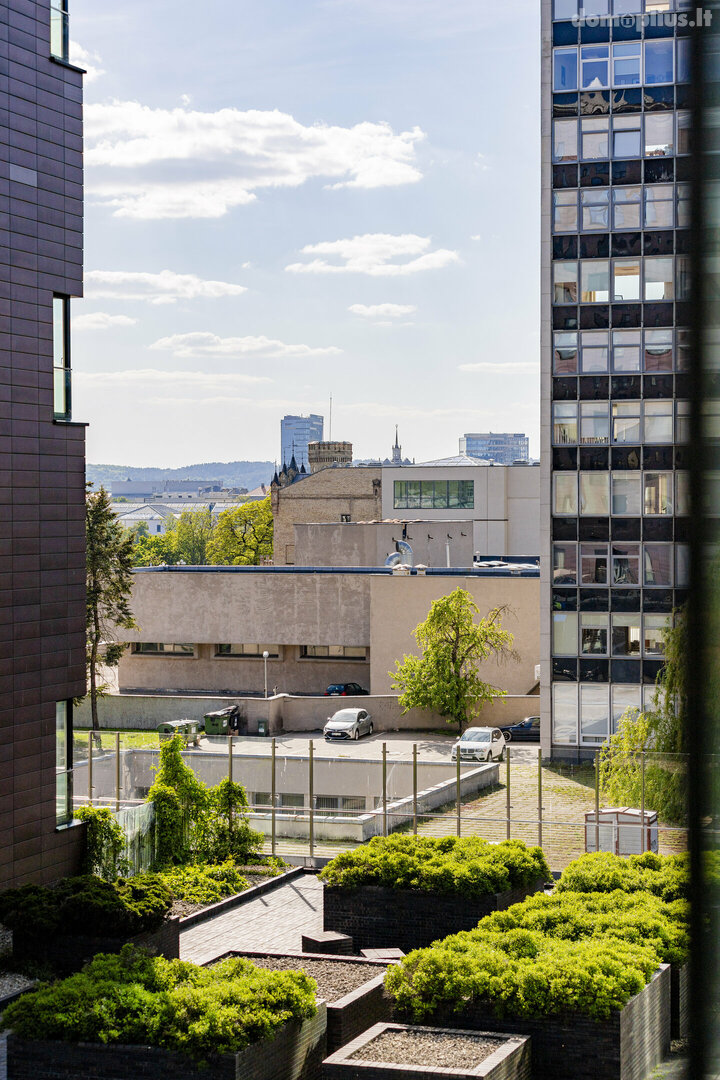 2 kambarių buto nuoma Vilniuje, Šnipiškėse, A. Juozapavičiaus g.